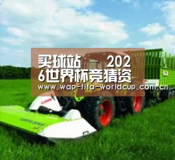 关于买球站