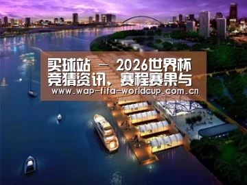 案例展示八