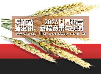 买球站 - 2026世界杯竞猜资讯、赛程赛果与实时比分