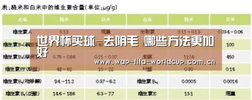 世界杯买球